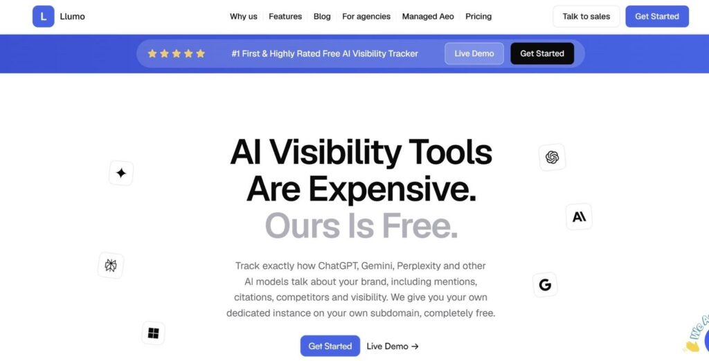 Screenshot: Llumo public homepage/interface.