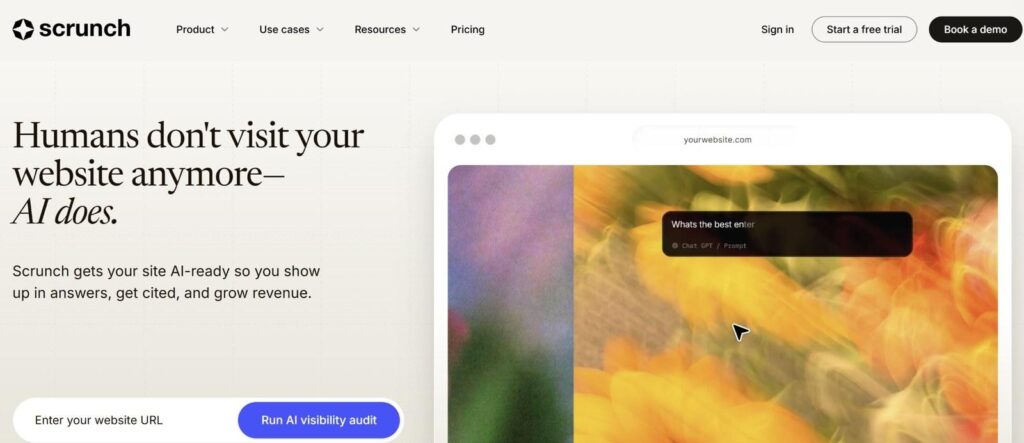 Screenshot: Scrunch public homepage/interface.